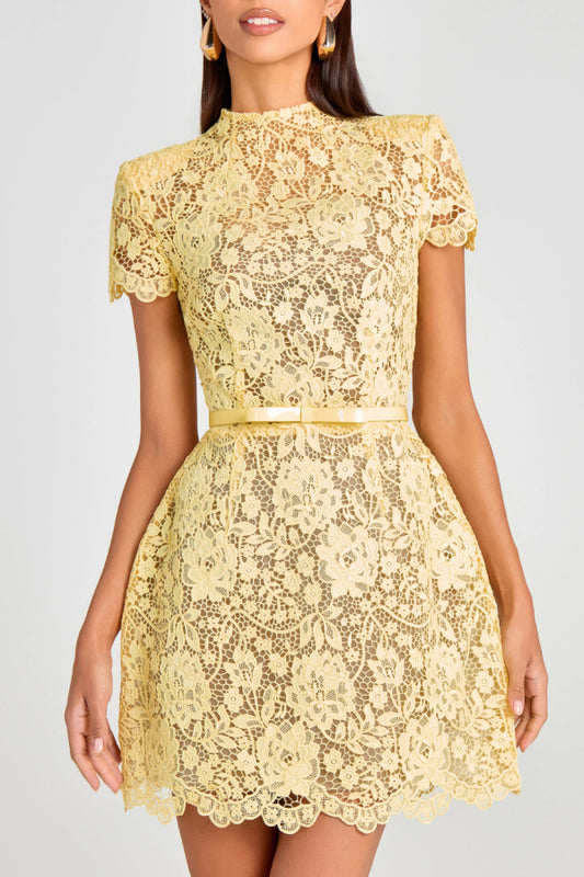 Sexy See-Through Lace Yellow Round Neck Miniskirt Dress