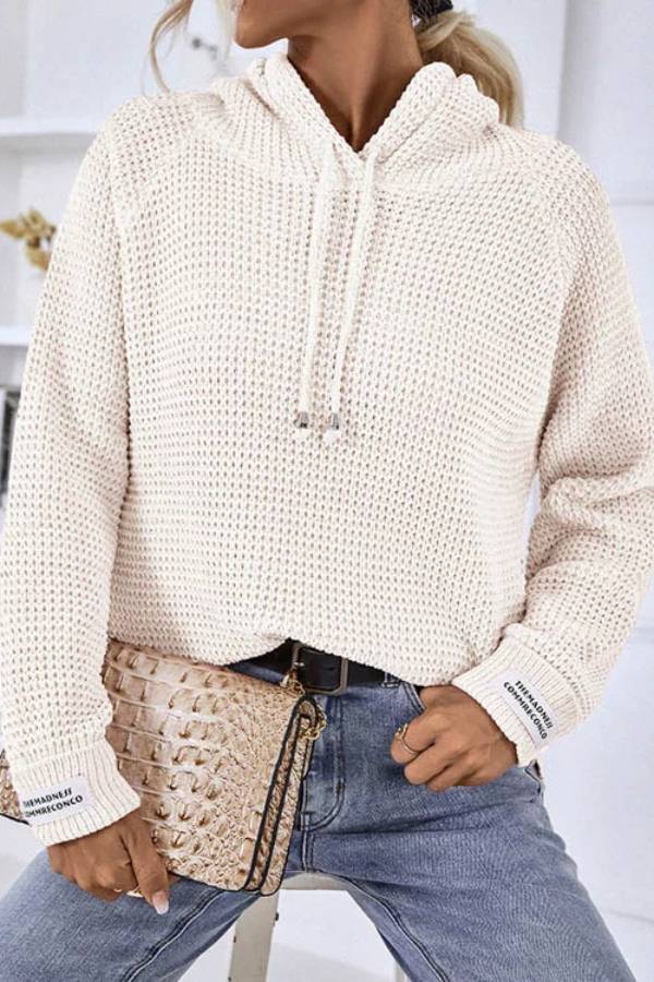 Drawstring Long Sleeve Hooded Sweater Main image