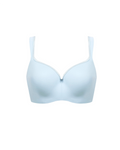 bra, close-up view