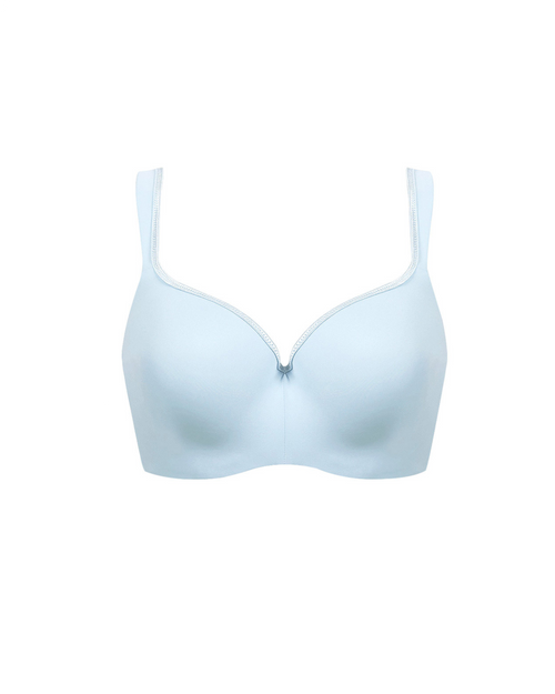 bra, close-up view