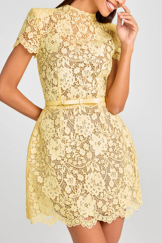 Champagne Toast Flower Lace Short Sleeve Ribbon Belt Mini Dress